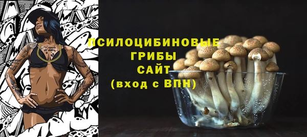 соль ск Алексеевка