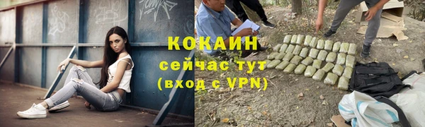 соль ск Алексеевка