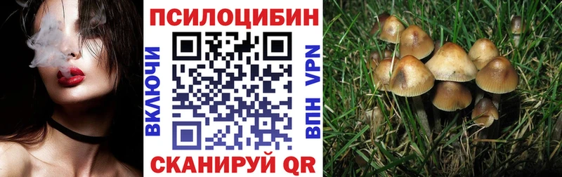 blacksprut ССЫЛКА  Малаховка  Псилоцибиновые грибы Cubensis  что такое  